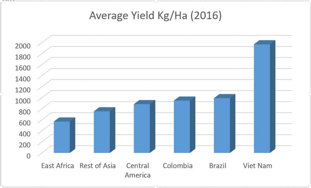 Average coffee yields