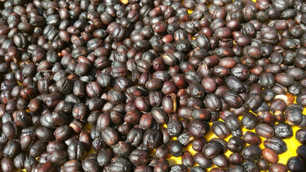 Specialty grade Sun-dried natural coffee